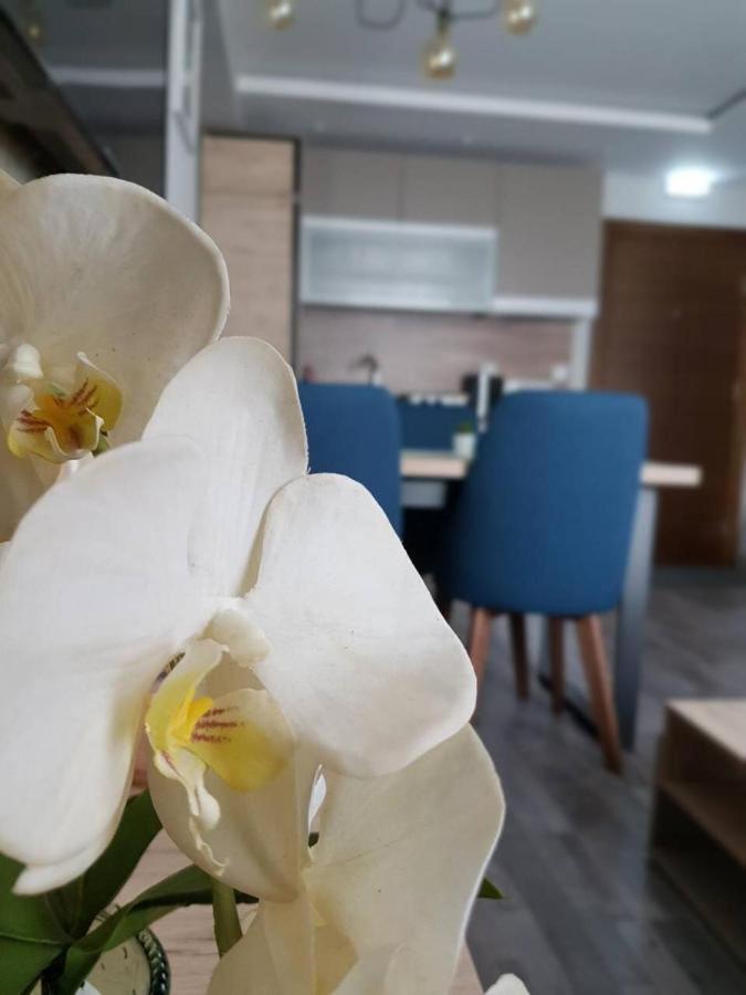 Apartman Premier 32 Milmari Kopaonik Exterior photo