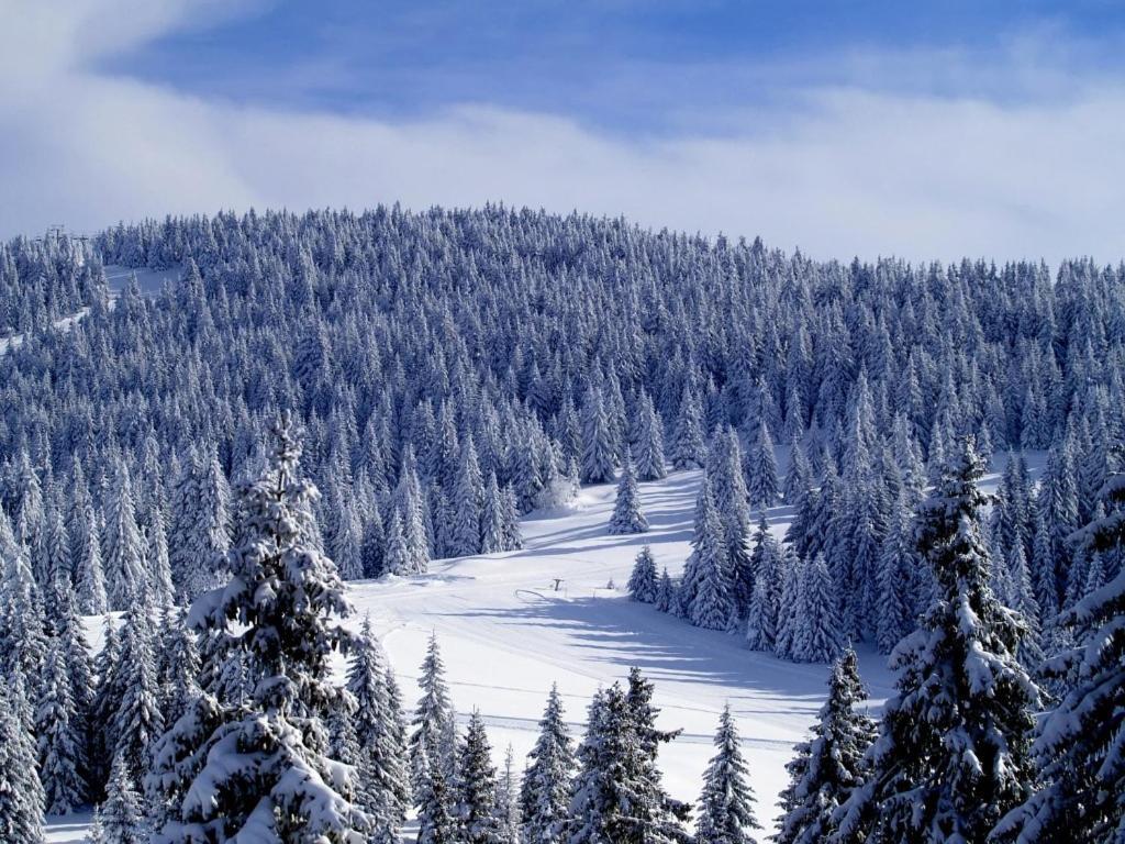 Apartman Premier 32 Milmari Kopaonik Exterior photo