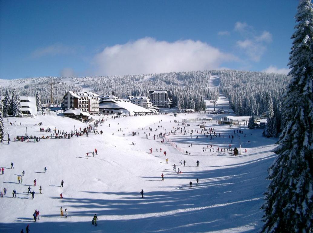 Apartman Premier 32 Milmari Kopaonik Exterior photo